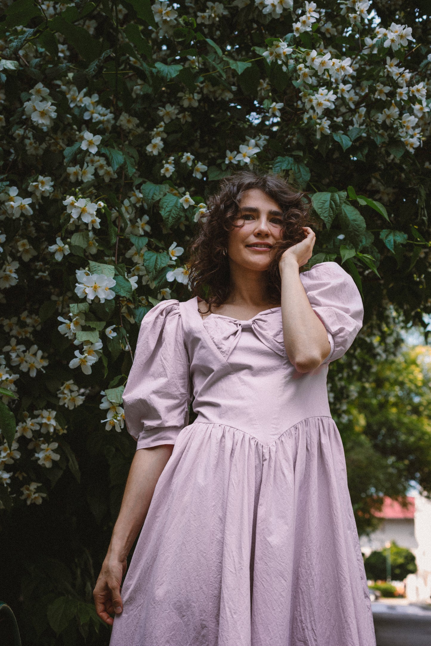 Flora letni lotos