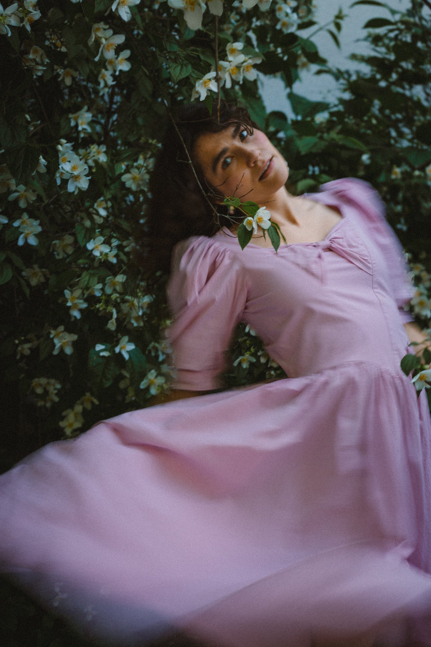 Flora letni lotos
